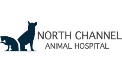North Channel Animal Hospital-HeaderLogo